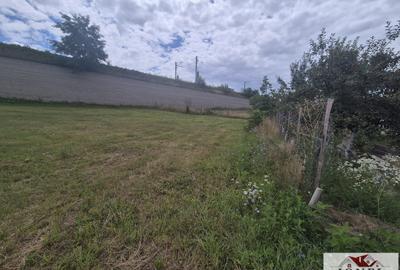 Teren de vanzare in Vintu de Jos - 4