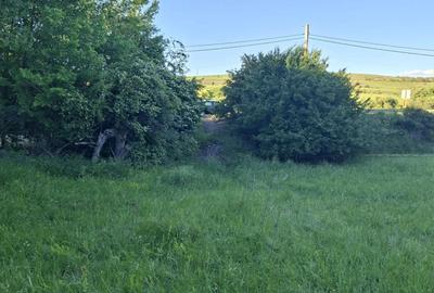 Teren de vanzare in Martinesti - 2