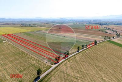 Teren agricol extravilan de 30000 mp, în Hălchiu