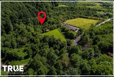 Teren intravilan 2.800 m² în Câmpu Cetății – liniște și natură - 15