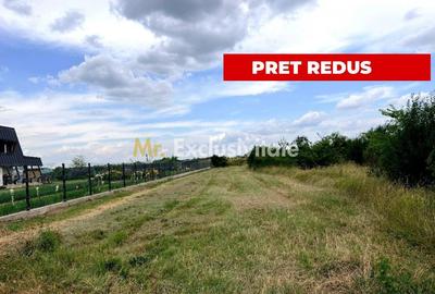 Teren Construcții intravilan de 1374 mp, în Bradu