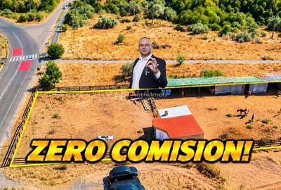 Moldova Noua | Teren 3.300 MP + Afacere | ZERO COMISION - 1