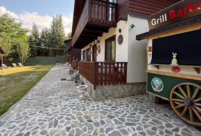 Proprietate de exceptie pe Transfagarasan,la poalele muntilor Fagaras - 22