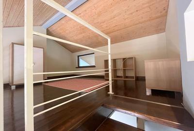 Casă deosebită 5 camere – grădină matură - 18