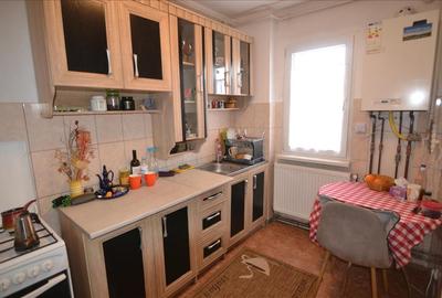 Inchiriere apartament  2 camere 50 mp utili, Gemenii - 16