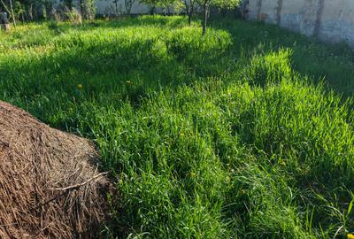 Teren Construcții intravilan de 500 mp, în Râșnov