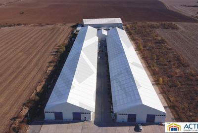 Hale de inchiriat - Ecom Logistic Center - 2