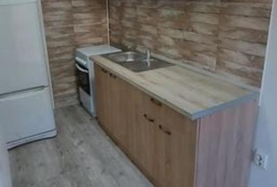 Vila la inchiriere in zona Titulescu - 3