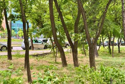 Podu Ros, langa Palas Campus, apartament cu 2 camere de inchiriat - 6