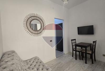 DE INCHIRIAT Apartament Ultra Central 2 camere - 10