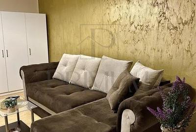 LIPOVEI - APARTAMENT 1 CAMERA - mobilat, utilat, renovat complet - 2