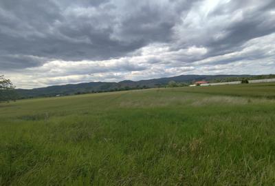 Teren agricol extravilan de 10400 mp, în Vințu de Jos