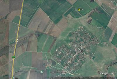 Timisoara Ortisoara-tere agricol  4 hectare comasat - 5