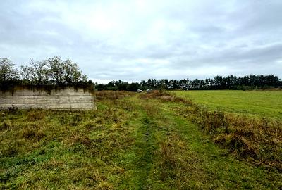 Vanzare 10.000 mp teren Liteni Suceava- la strada -potrivit proiect fonduri - 7