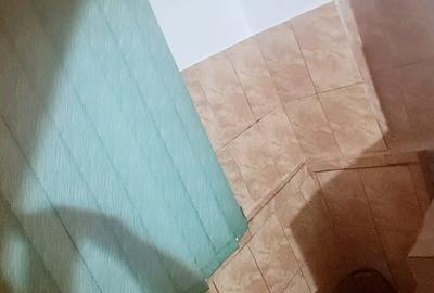 Apartament 2 camere zona Parcul Tineretului - 6
