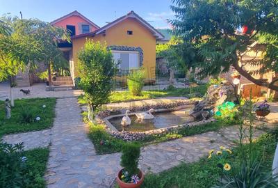 Casă parter cu teren de 1400 mp în Bariera Vâlcii aproape de drumul expres - 16