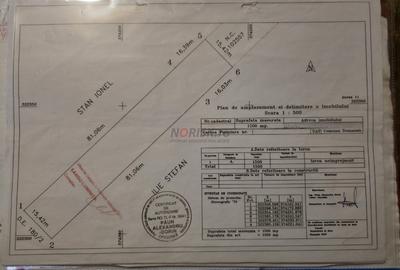 Terenuri Domnesti - 500mp -> 4 Ha - 3