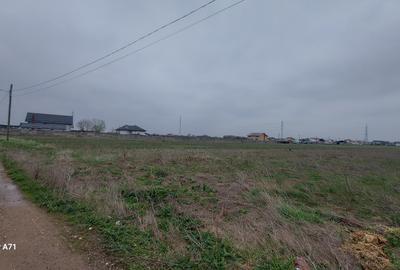 Sabareni - Certificat de Urbanism - 5808mp teren pentru investitie !! - 11