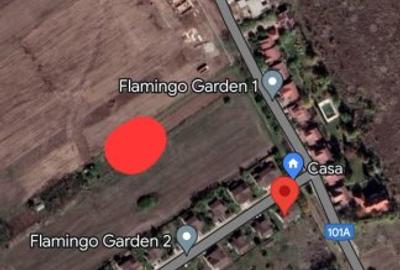 Teren Construcții intravilan de 980 mp, în Corbeanca