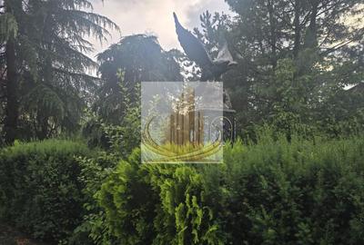 Vila exclusivista in Timisoara zona Centrala 950.000 Euro - 6