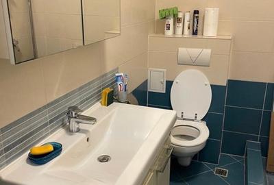 Inchiriez apt. 2 cam. Floreasca,Str. Ceaikovski, 15min. metrou, centrala termica - 11