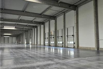Spatii Industriale - 9500 mp - Logistica - Productie - Depozitare - Distributie - 9