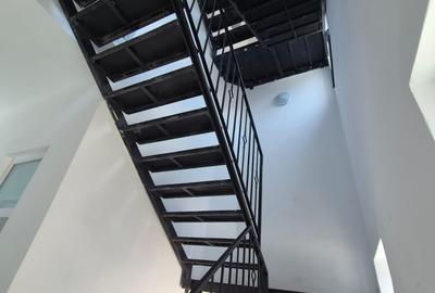 Vila 1200 mp Cismigiu Renovata cu parcare diverse activitati - 17