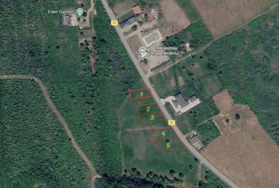 Teren agricol intravilan de 657 mp, în Paleu
