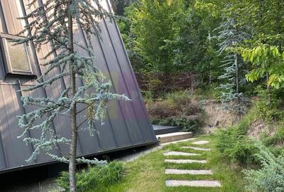 Cabane A frame + Teren 6000 mp |  Proprietate deosebita, NOU - 21