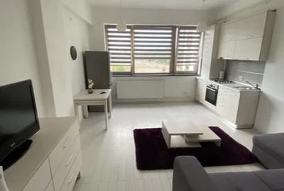 Apartament cu 1 camera tip studio in Tatarasi-Doi Baieti - 7