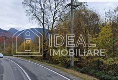 Teren intravilan 1.113 mp – deschidere la DN7C și Râul Bâlea – Cârțișoara - 1