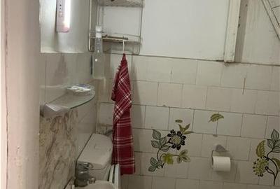 Inchiriere casa individuala 4 camere, gradina de 900 mp, in Dambul Rotund- zona - 10