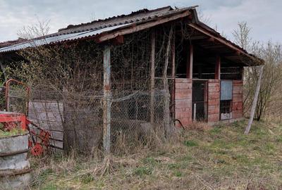 Teren intravilan + constructii in Hodis, jud Arad - 7