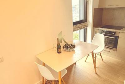 Apartament de inchiriat cu 2 camere in Herastrau - Aviatiei One Plaza - 13