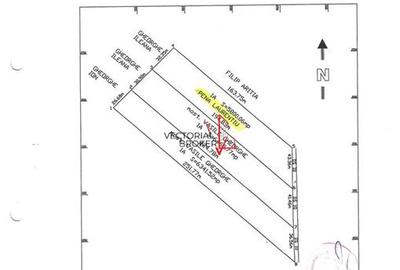 Teren extravilan 5.800 mp in Cornetu, ideal pentru investitie - 6