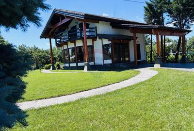 Casa de vacanta de vânzare Cornetu -Mihailesti - 38