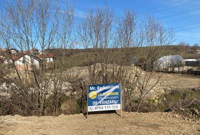 Teren Construcții intravilan de 4000 mp, în Exterior Sud