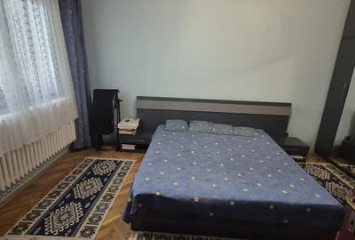 CASA DE VÂNZARE – ZONA PARCUL MUNICIPAL, BAIA MARE - 3