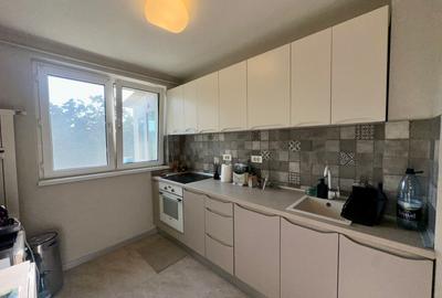 Liviu Rebreanu 3 camere bloc 4 etaje ultrarenovat - 17