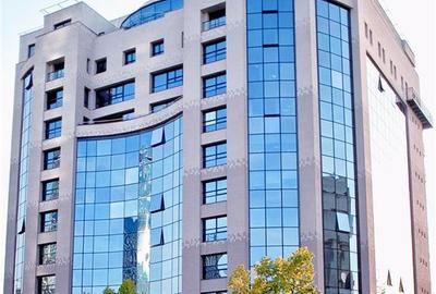 Muntenia Business Center - birouri de la 34 mp - 4