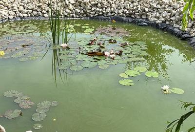 Vânzare Proprietate de excepție cu lac amenajat și pădure proprie | Gura Ocniței - 3