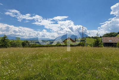 Teren agricol extravilan de 8544 mp, în Poiana Mărului