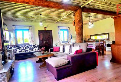 Cabana cu 7 camere de vanzare in Albac - V10073 - 16