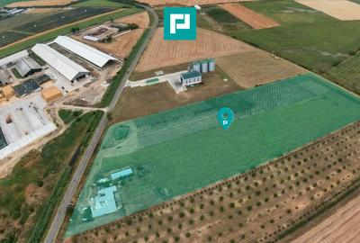 Teren agricol extravilan de 36000 mp, în Iratoșu