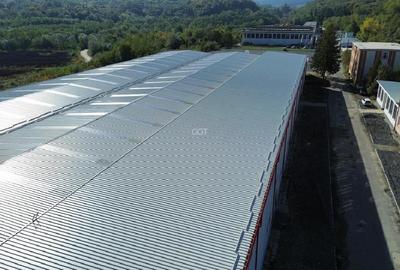Spațiu industrial de închiriat - 1.364 mp | Marșa - Avrig, Sibiu - 6