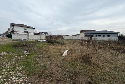 Teren Construcții intravilan de 550 mp, în Cornetu