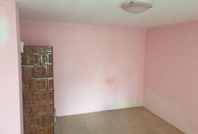 Casa de vanzare in Adjudu Vechi, Jud. Vrancea - 10