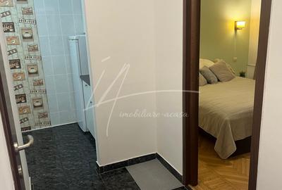 Apartament cu 2 camere -Sala Palatului-str. Ion Campineanu 23. Pet friendly. - 5