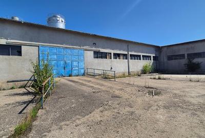 Spațiu Industrial și Logistic - 11