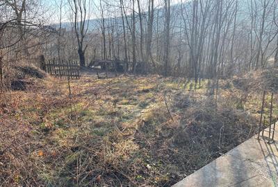 Vând casă Dp+P+M ,construcția C1 și terenul intravilan de 1265 mp - 8